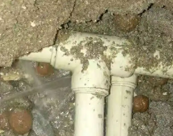 石泉测漏水多少钱