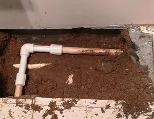 石泉测漏水哪家好