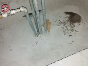 石泉卫生间测漏水价格明细