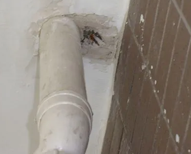 石泉漏水检测哪家好